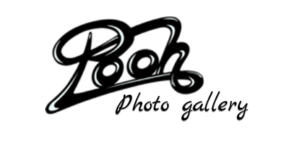 pooh photo gallery logo